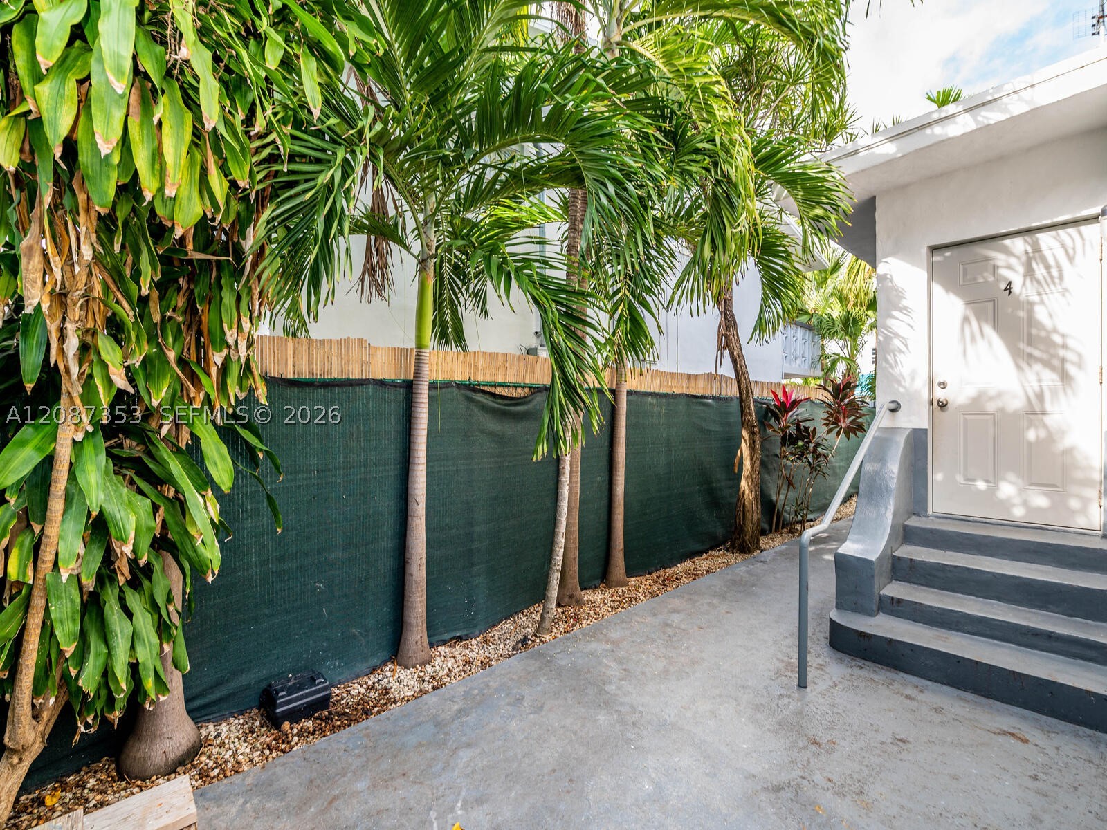 Miami Beach photo 3