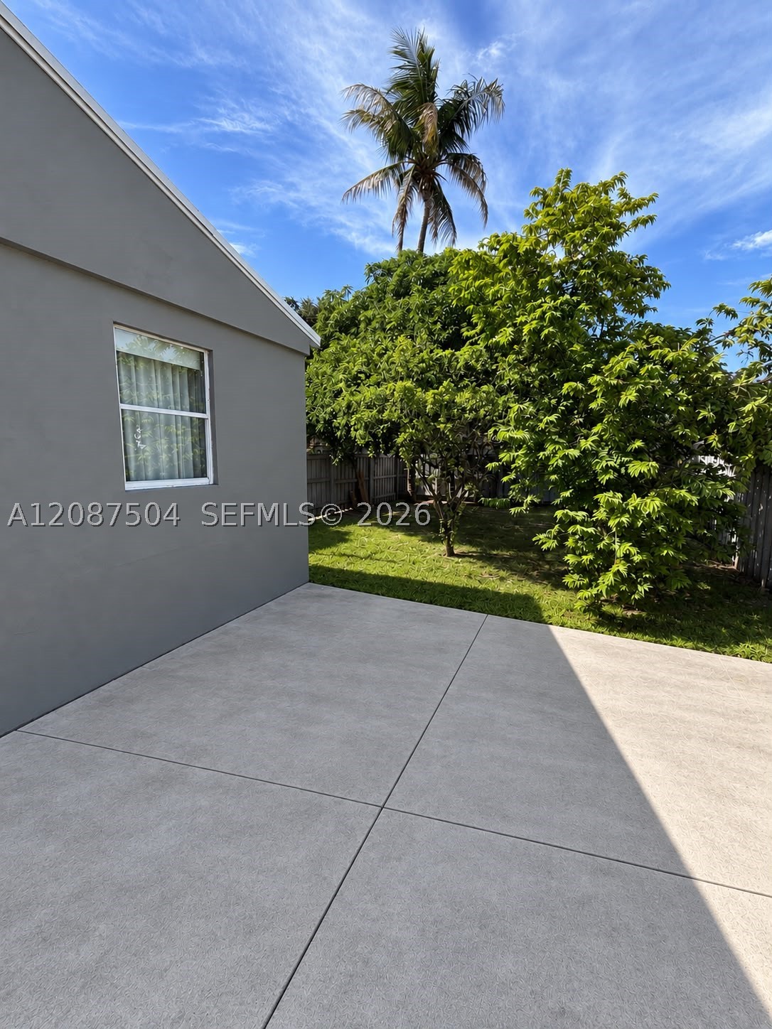 Miami photo 5