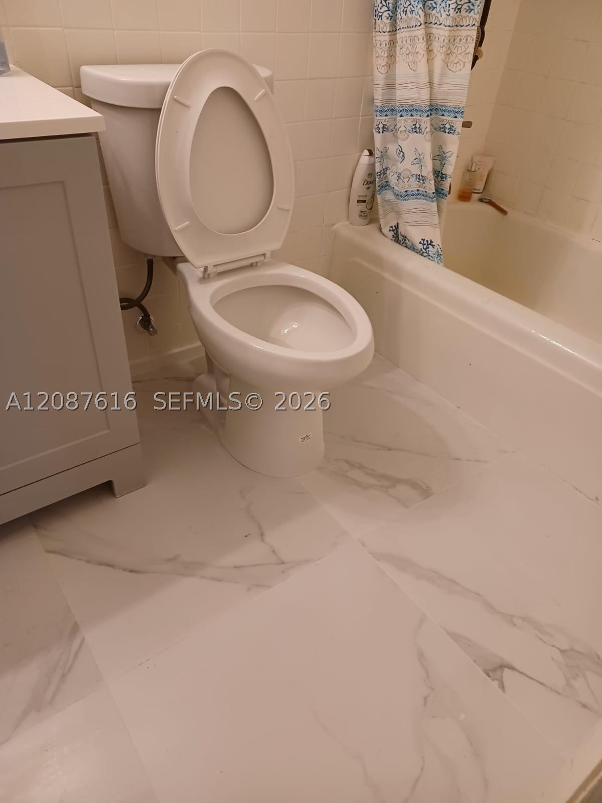 Miami photo 2
