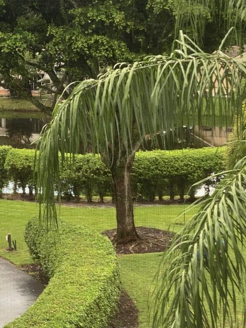 Boca Raton photo 3