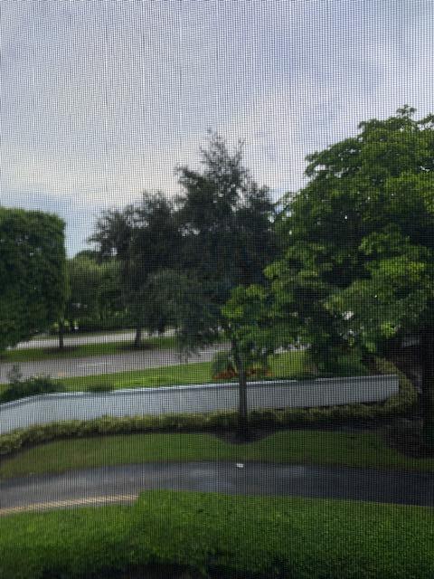 Boca Raton photo 5
