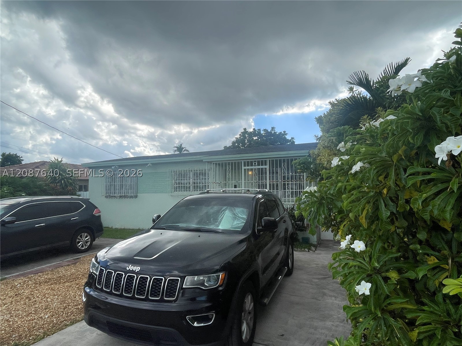 Miami photo 2