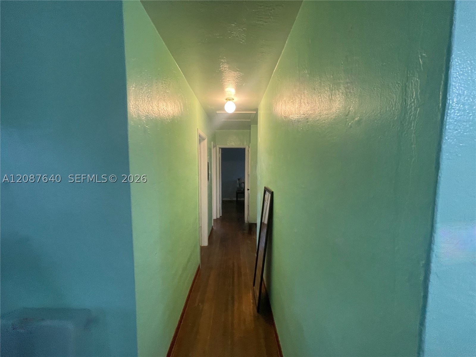 Miami photo 5