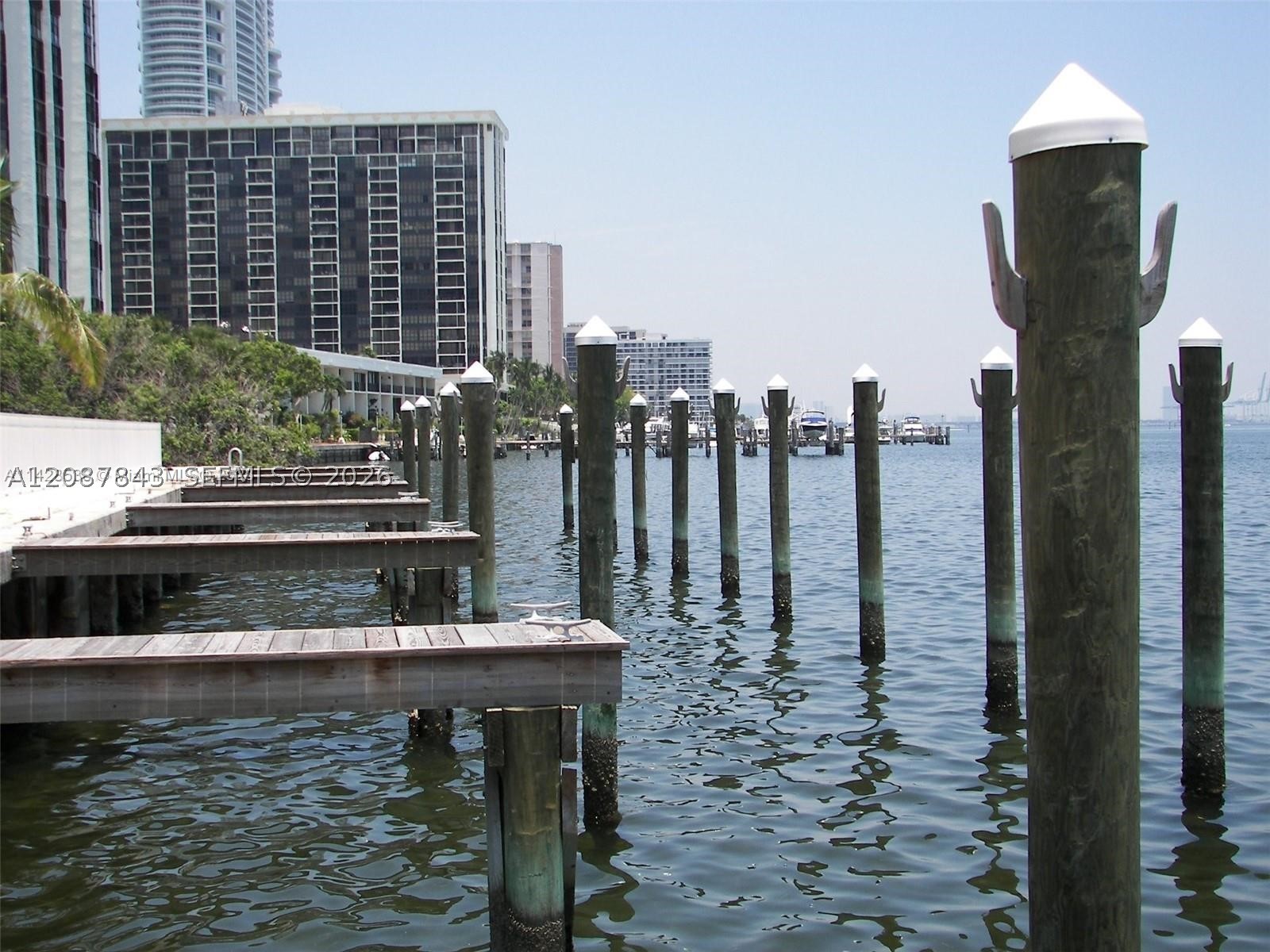 Miami photo 4