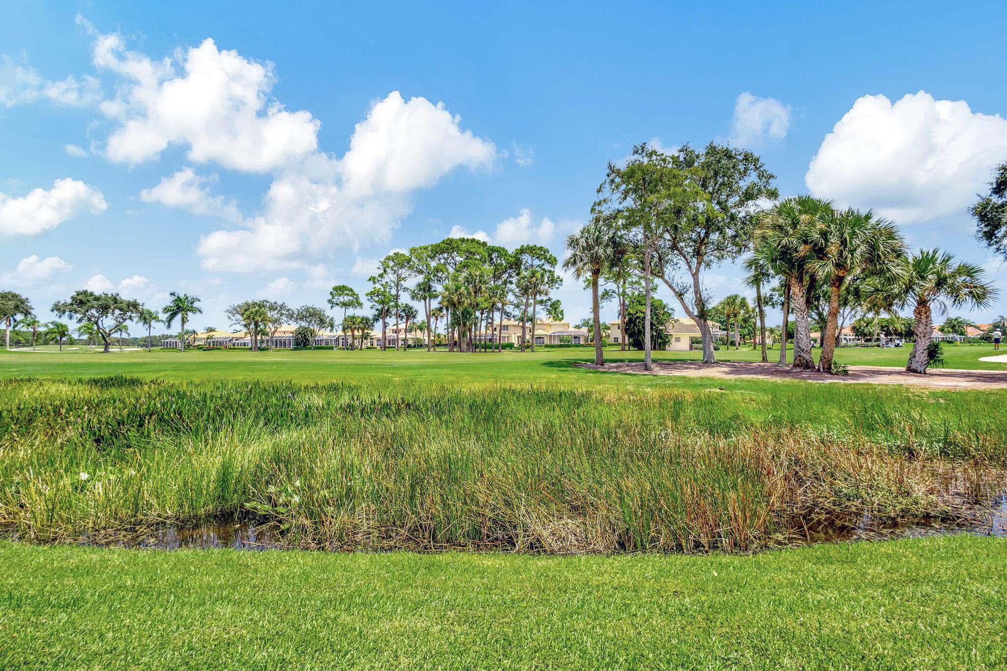 Palm Beach Gardens photo 5