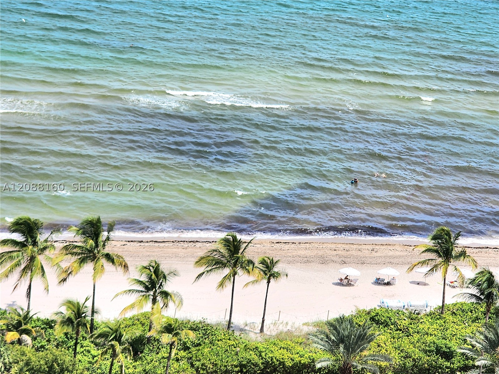 Hallandale Beach photo 4