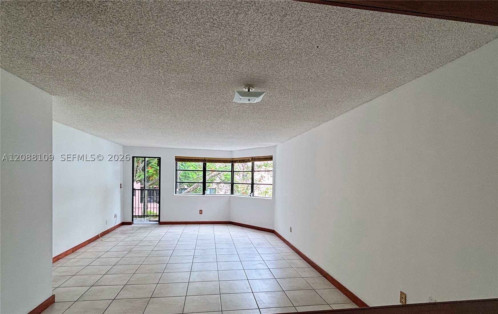 Miami photo 4