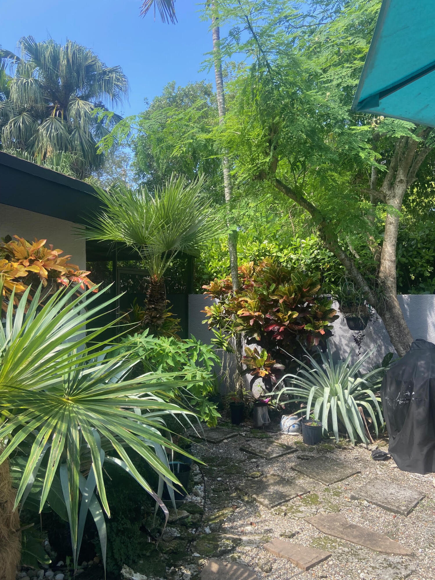 South Miami photo 4