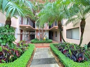 Miami photo 5