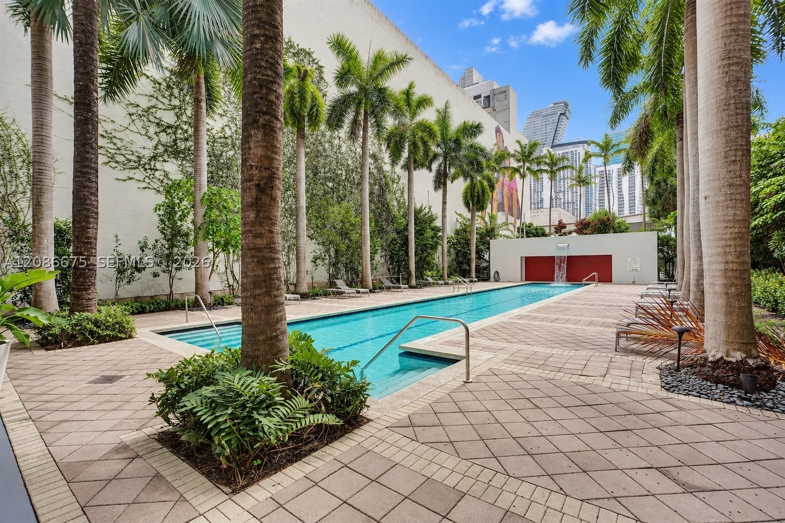 Miami photo 5