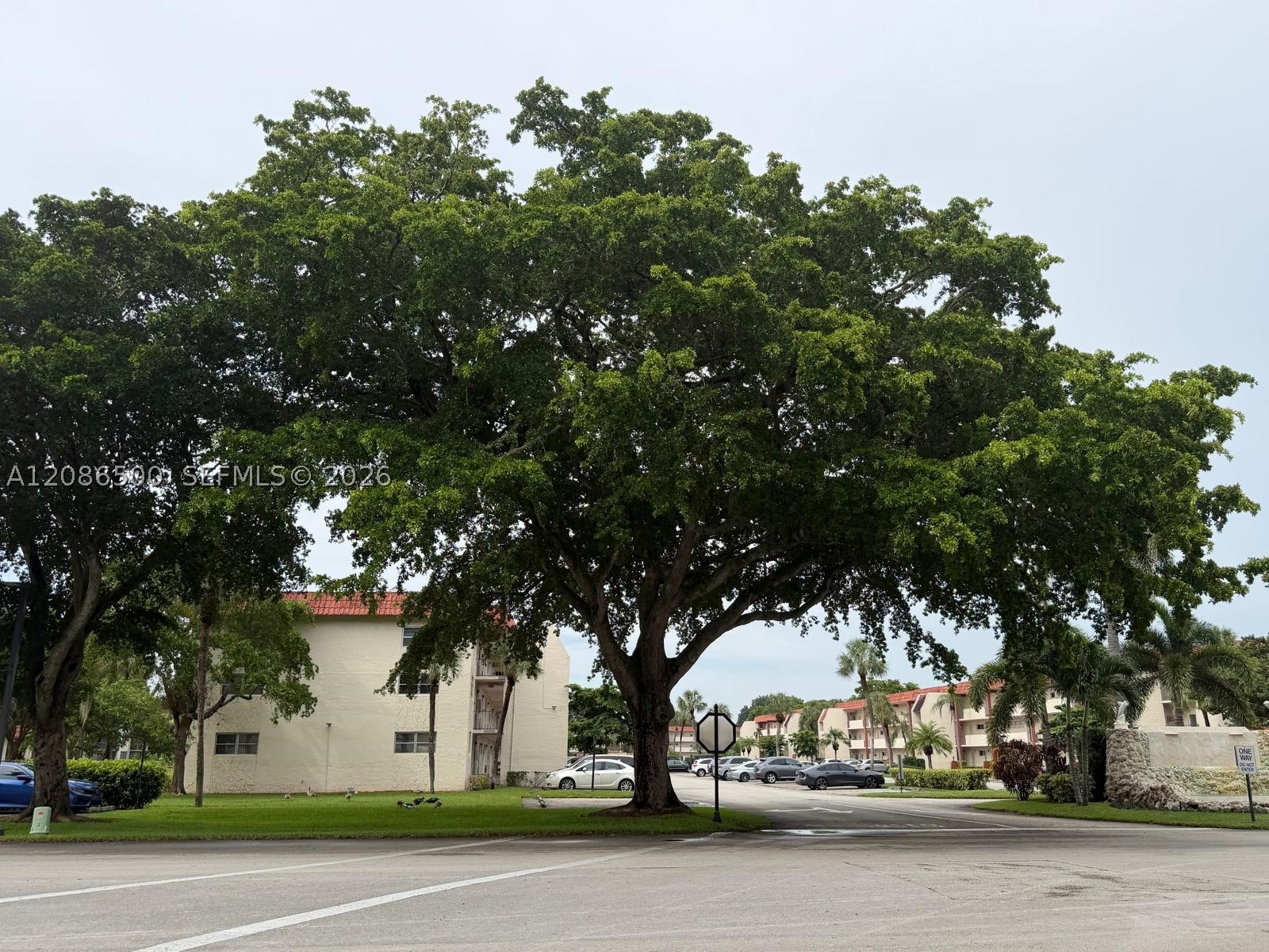 Pembroke Pines photo 4