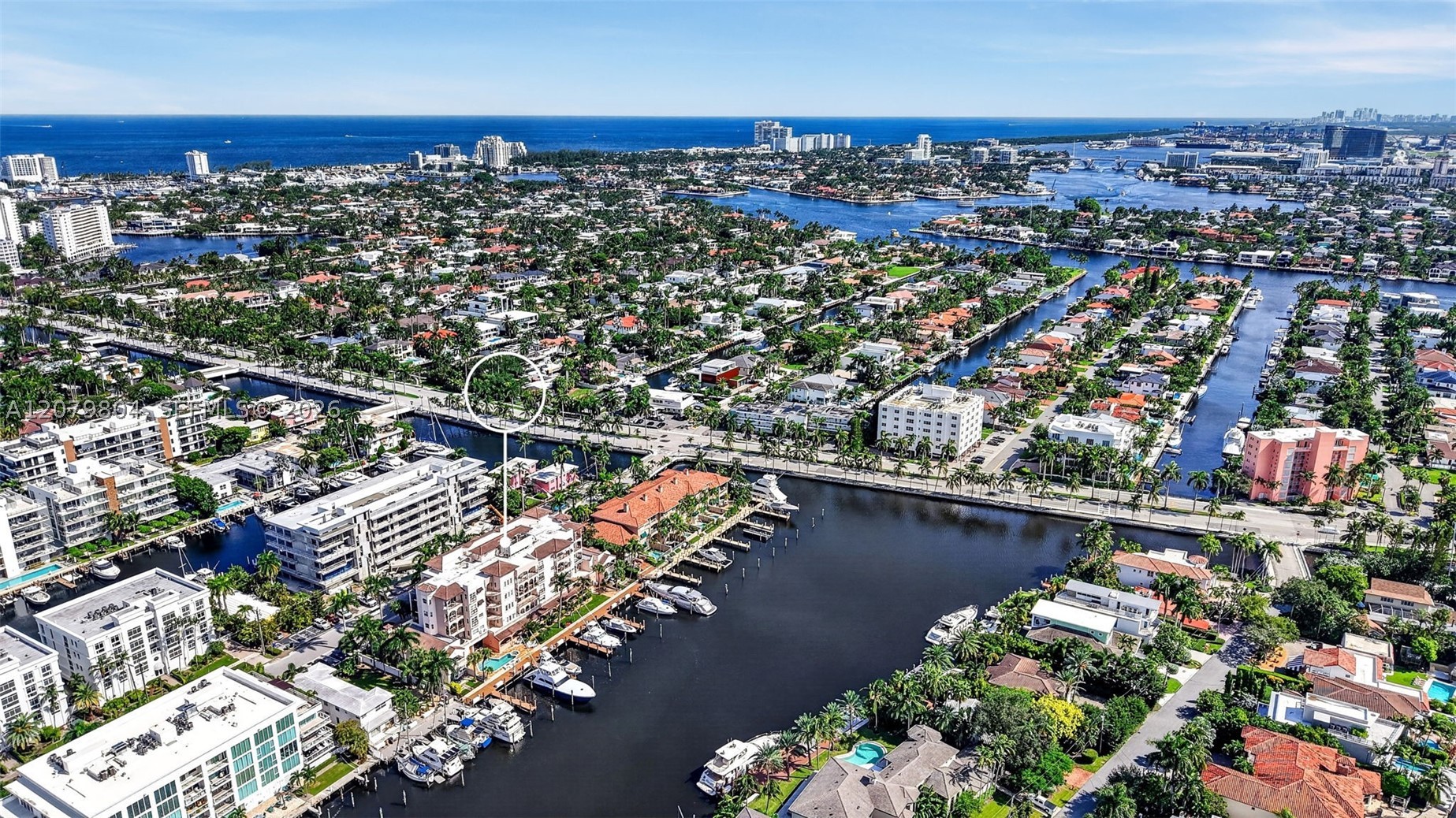 Fort Lauderdale photo 3