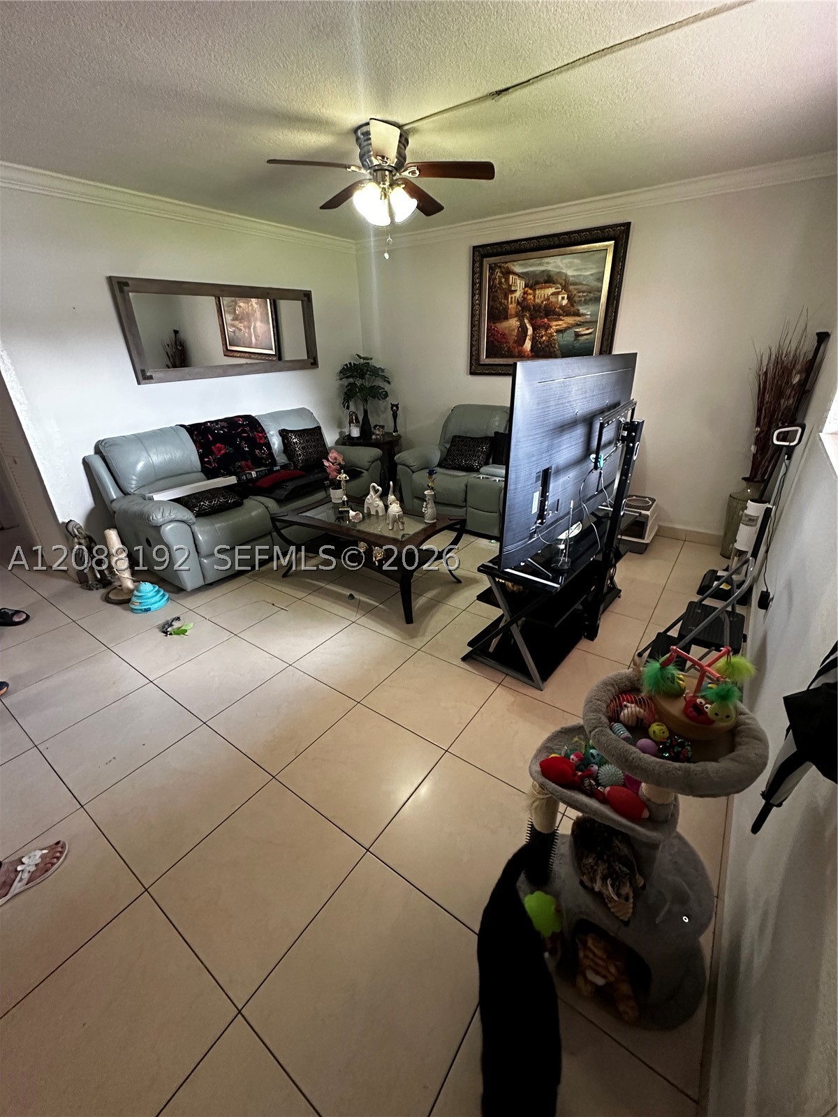 Hialeah photo 5