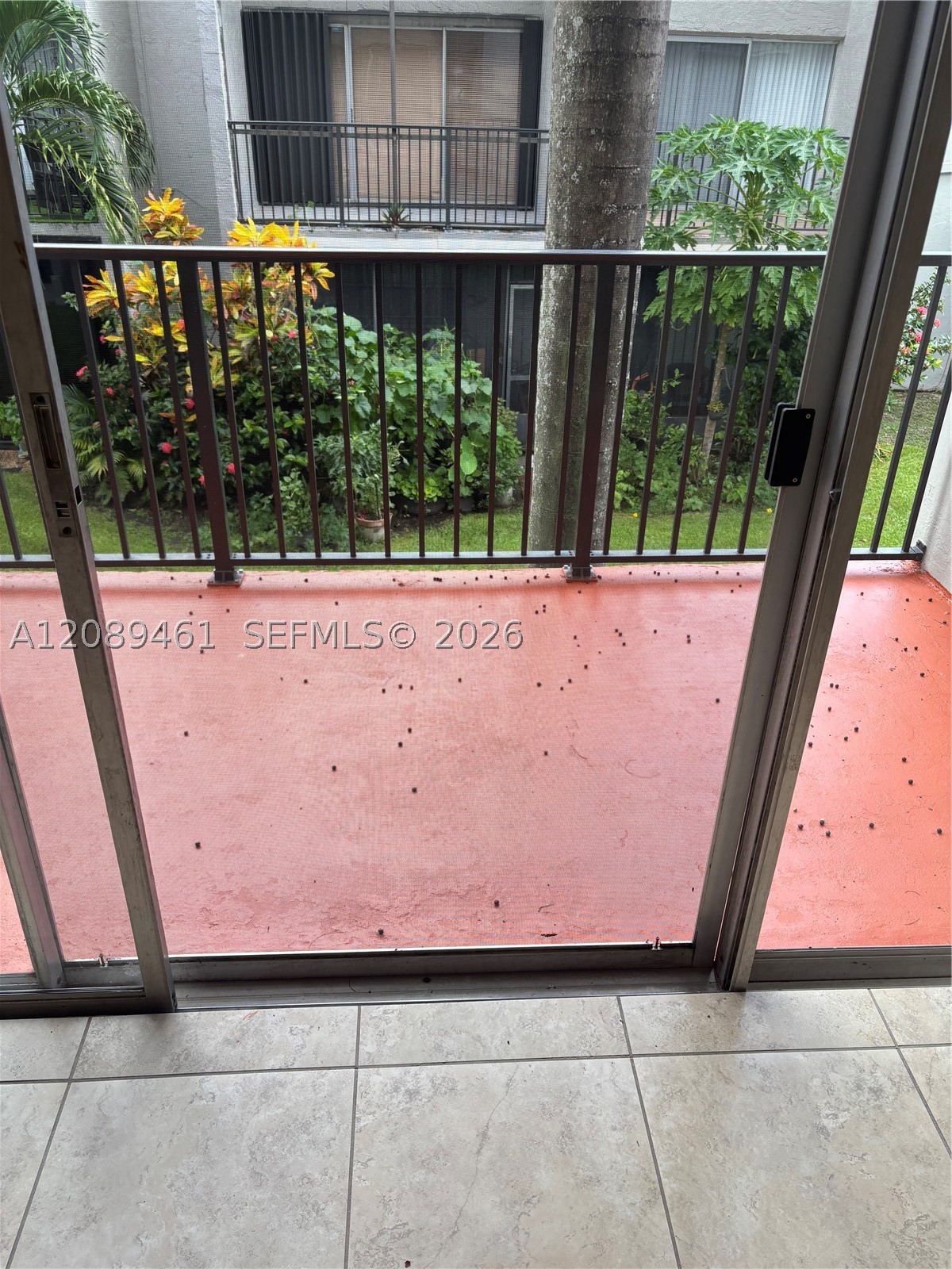 Miami photo 5