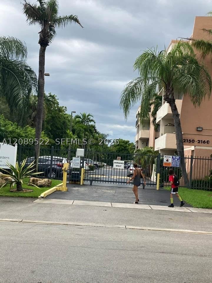 Miami photo 4