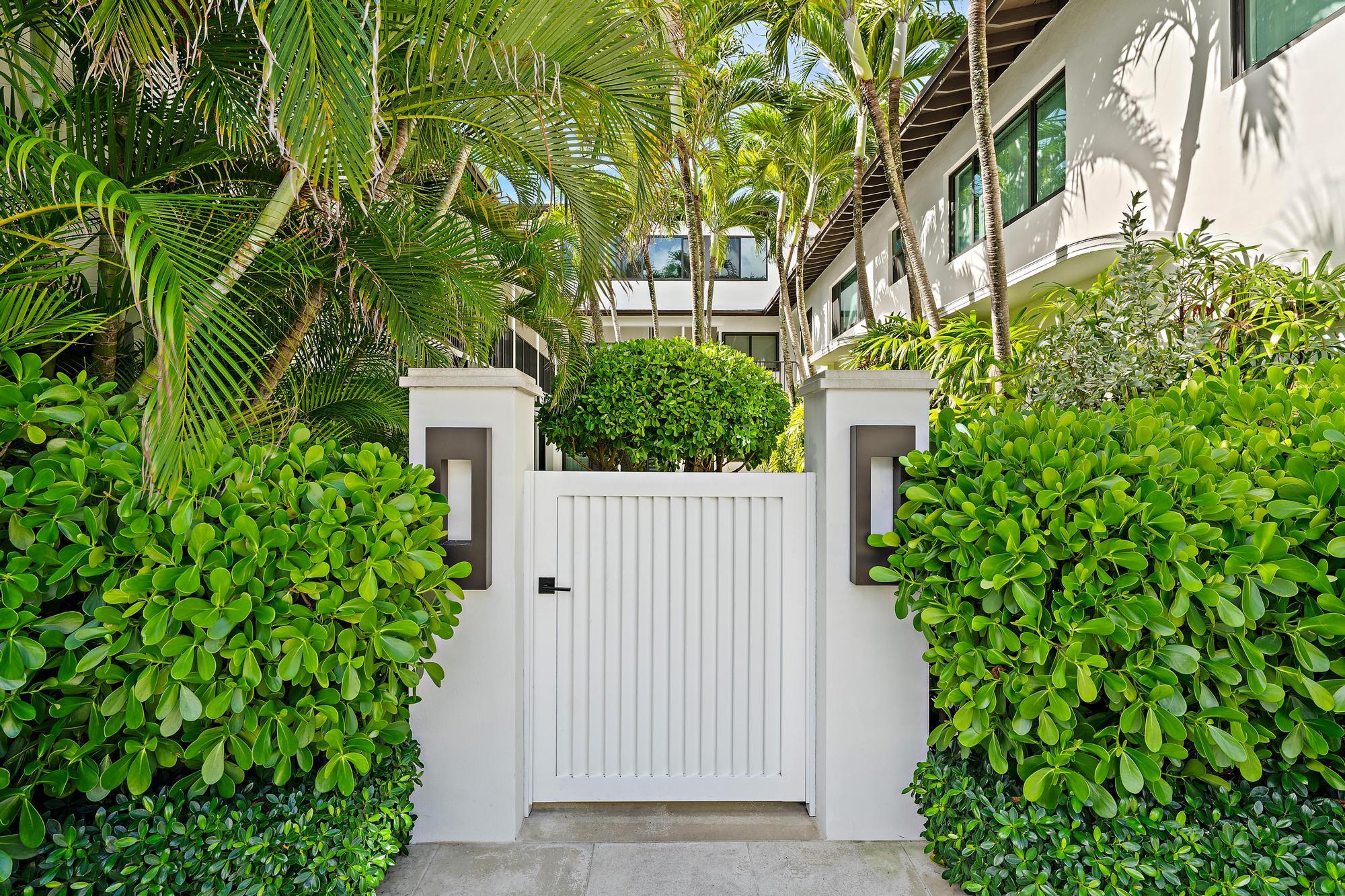 Palm Beach photo 3