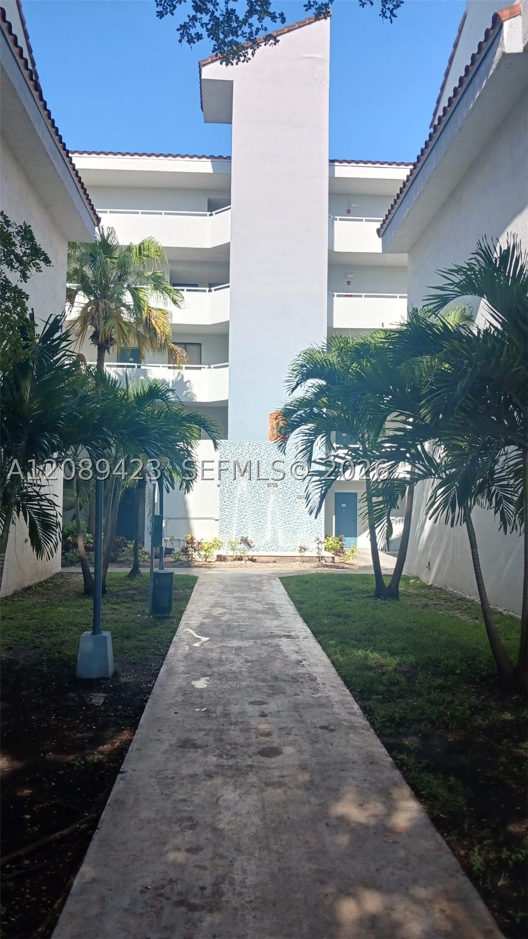 Miami photo 2