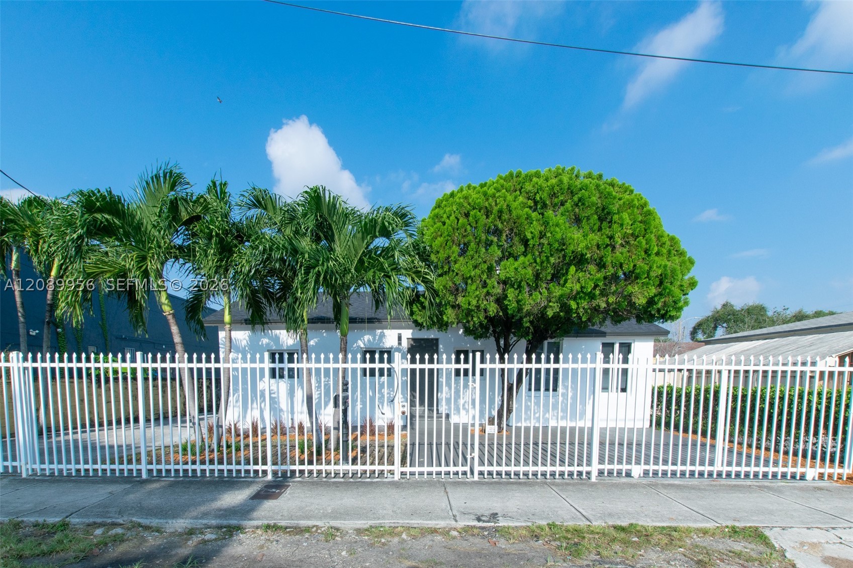 Miami photo 3