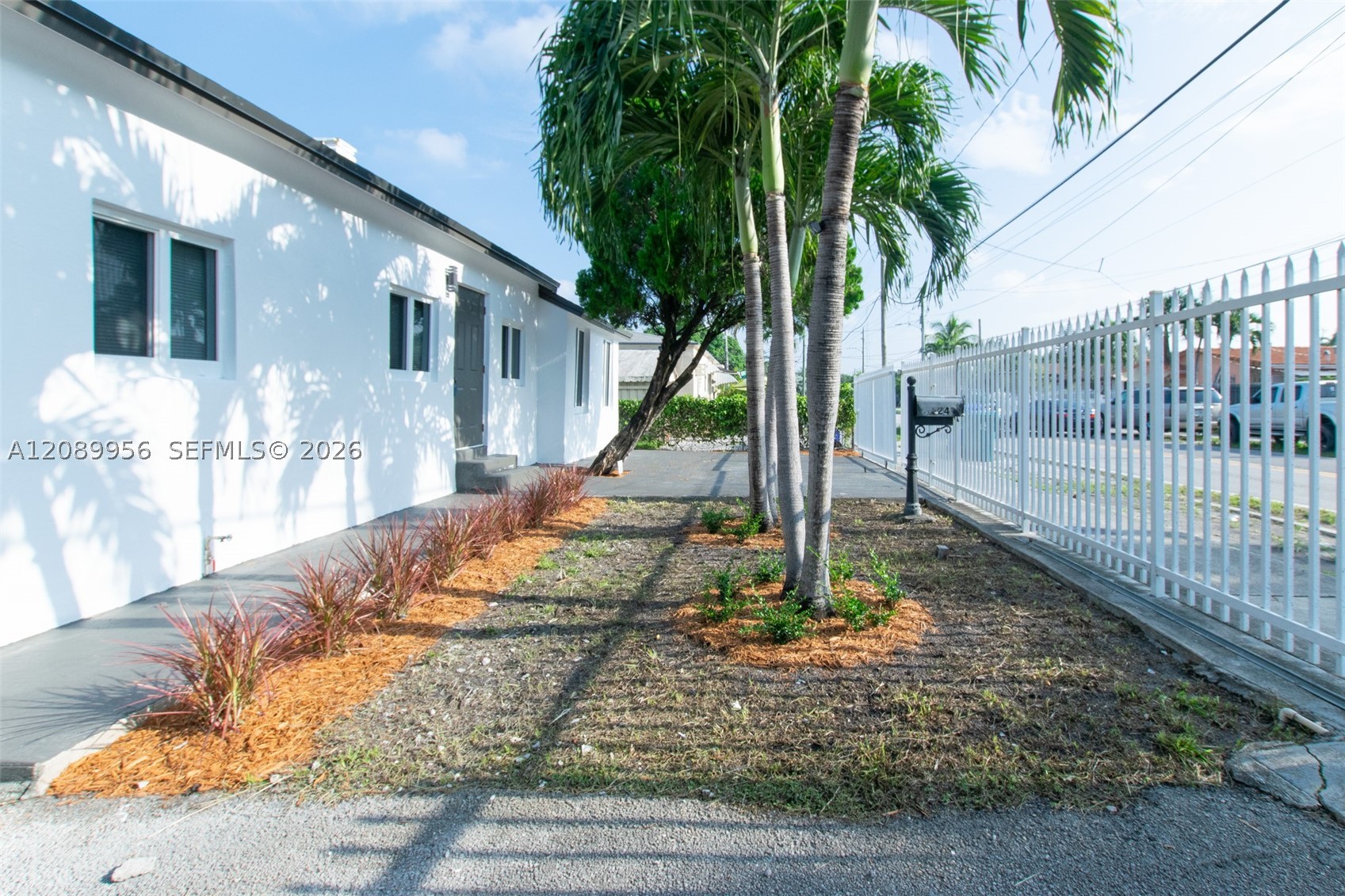 Miami photo 4