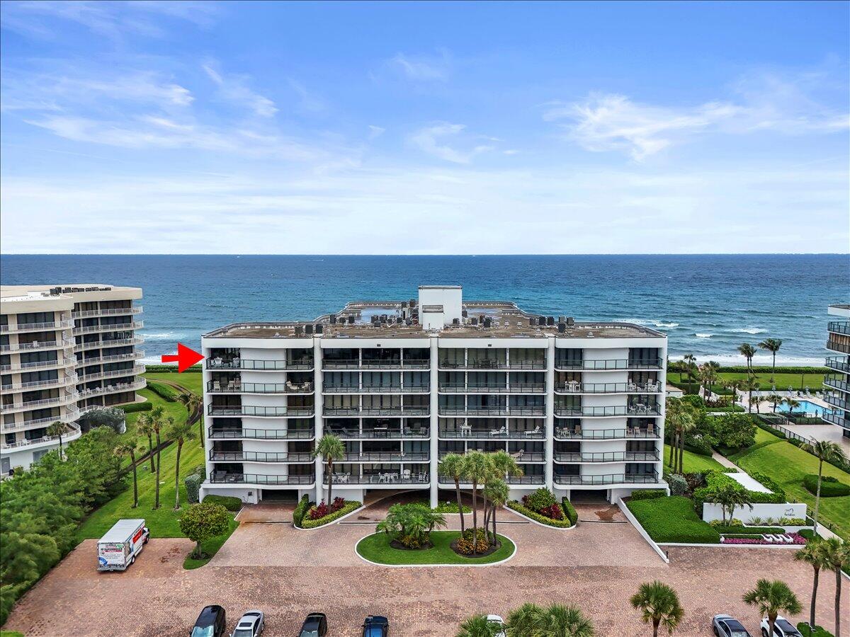 Palm Beach photo 3