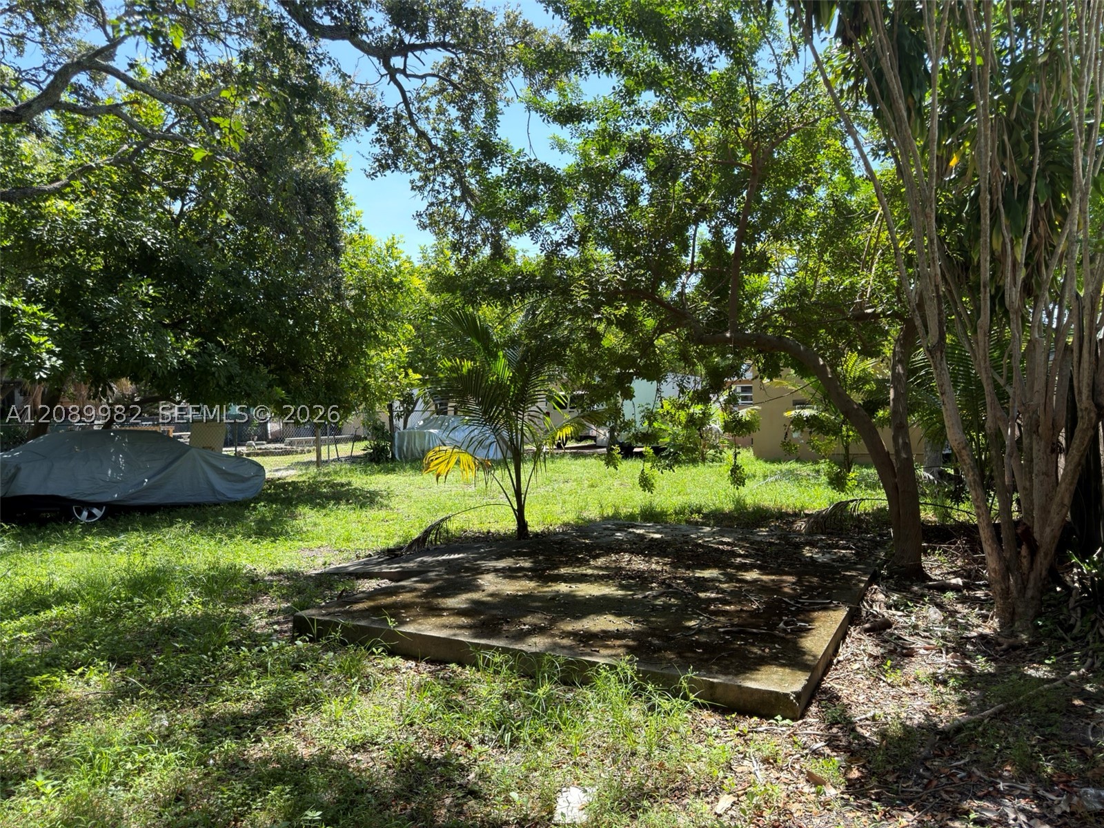 Hallandale Beach photo 5
