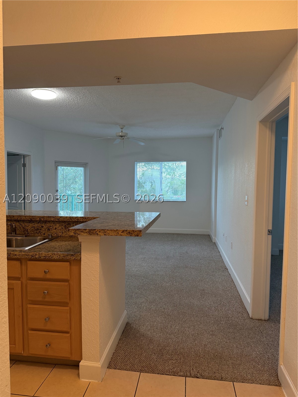 South Miami photo 4