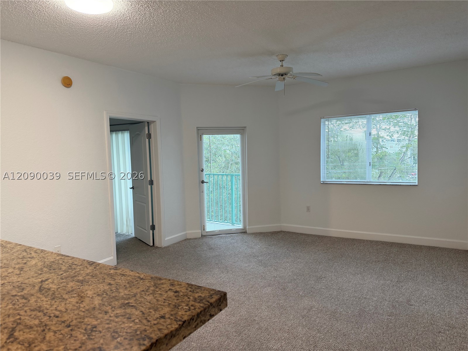 South Miami photo 5