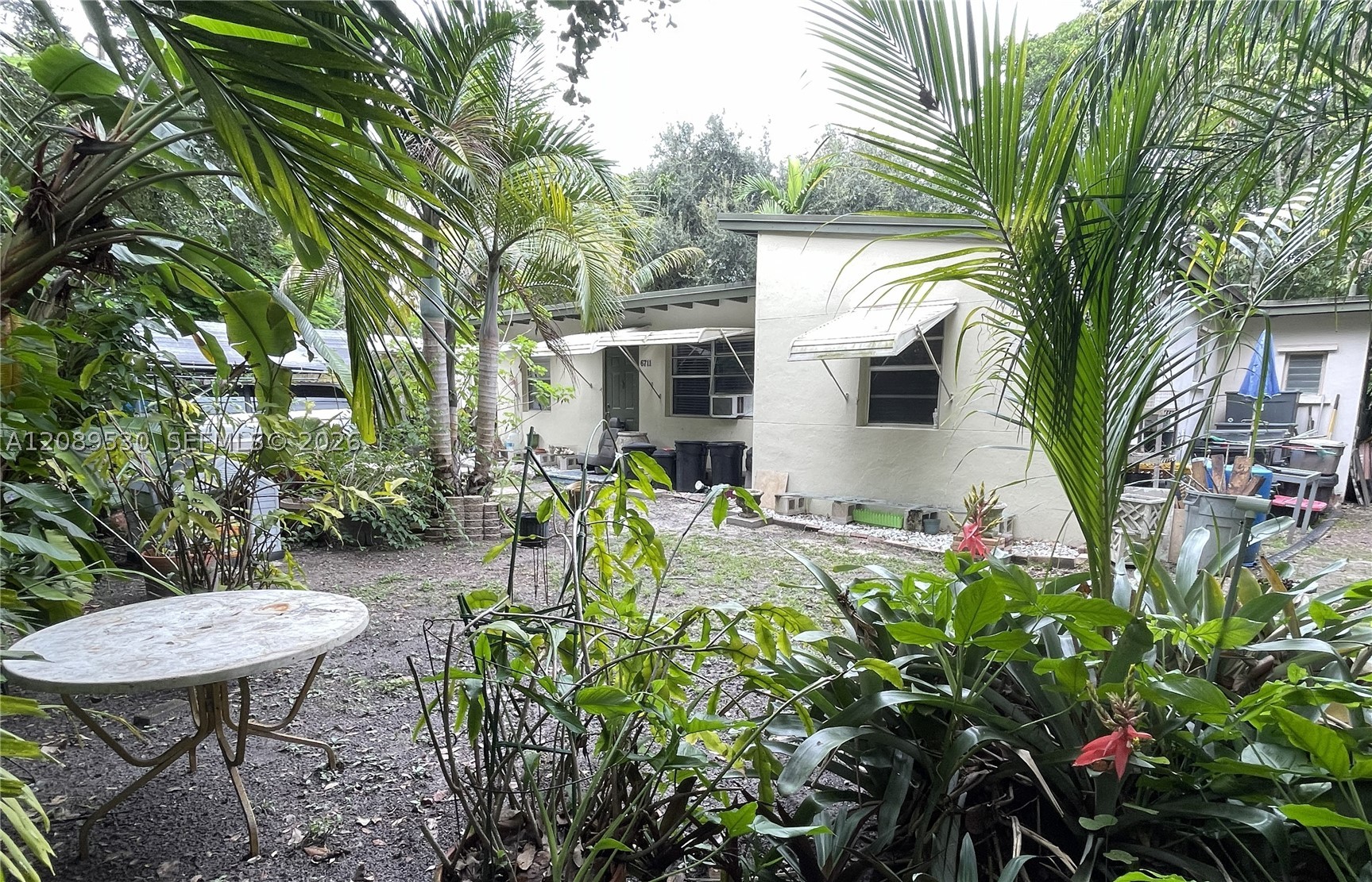 South Miami photo 2