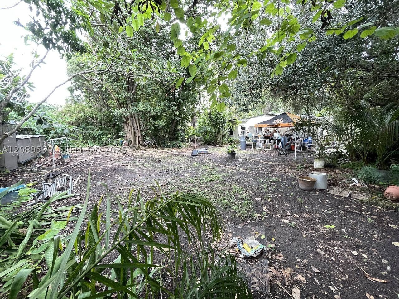 South Miami photo 3