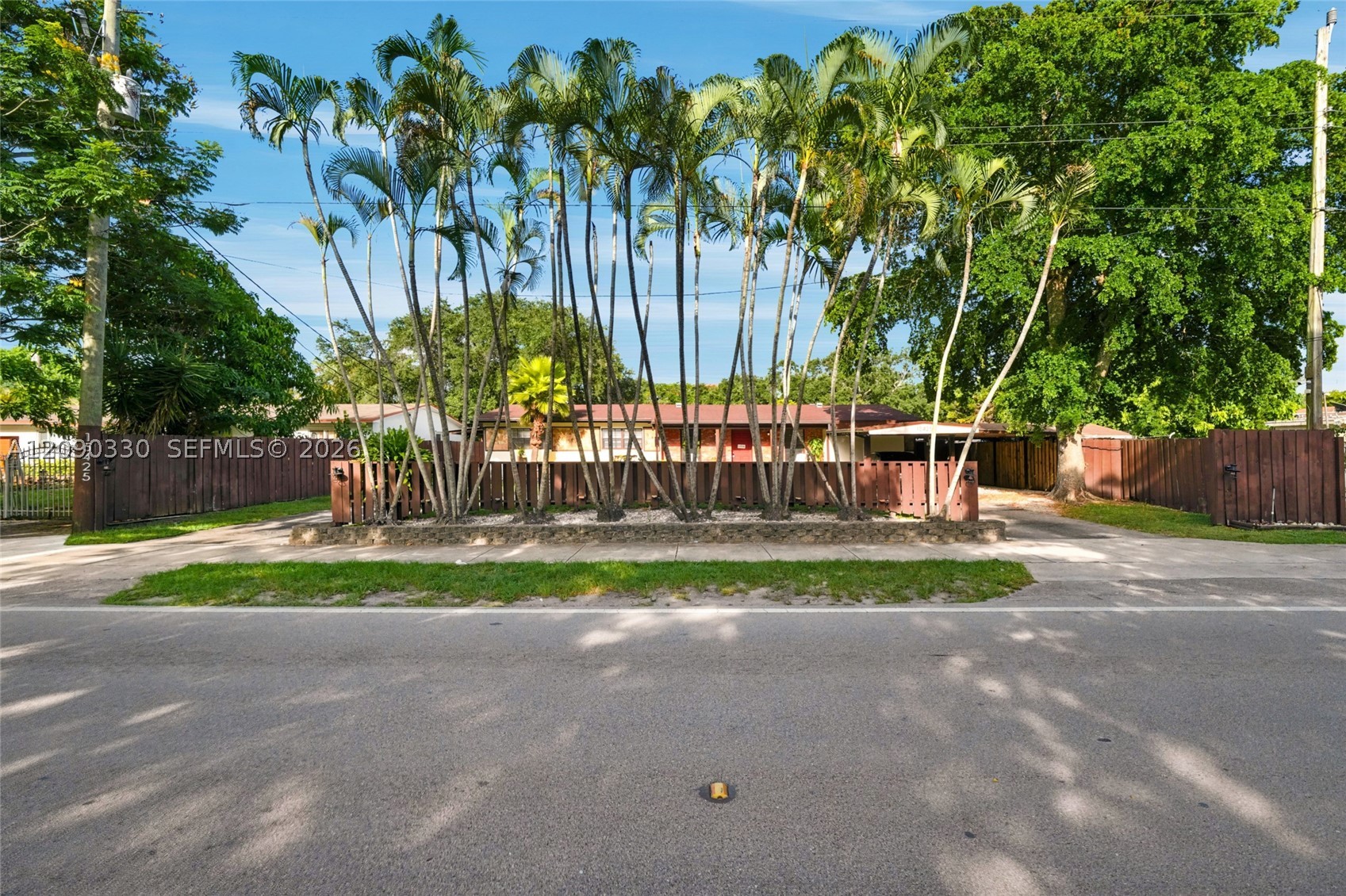 Miami photo 3