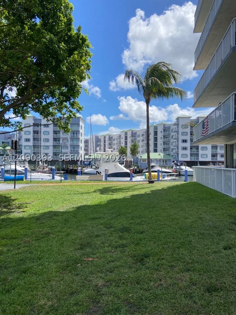 Miami photo 4