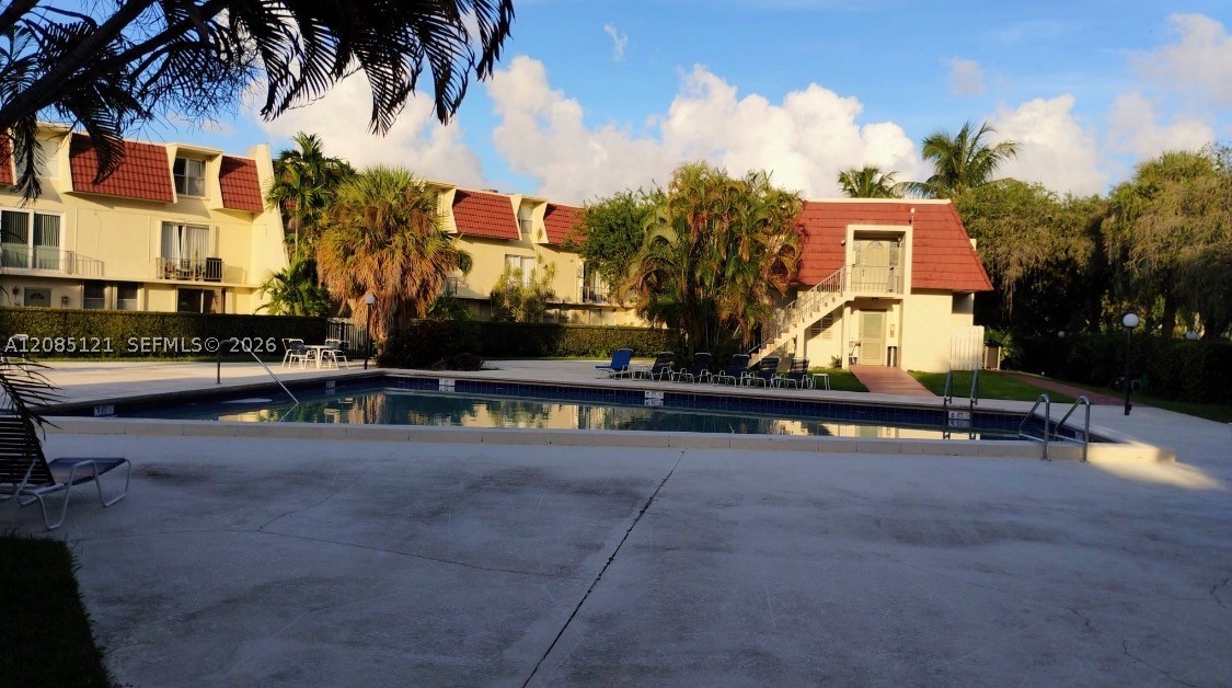Miami photo 2