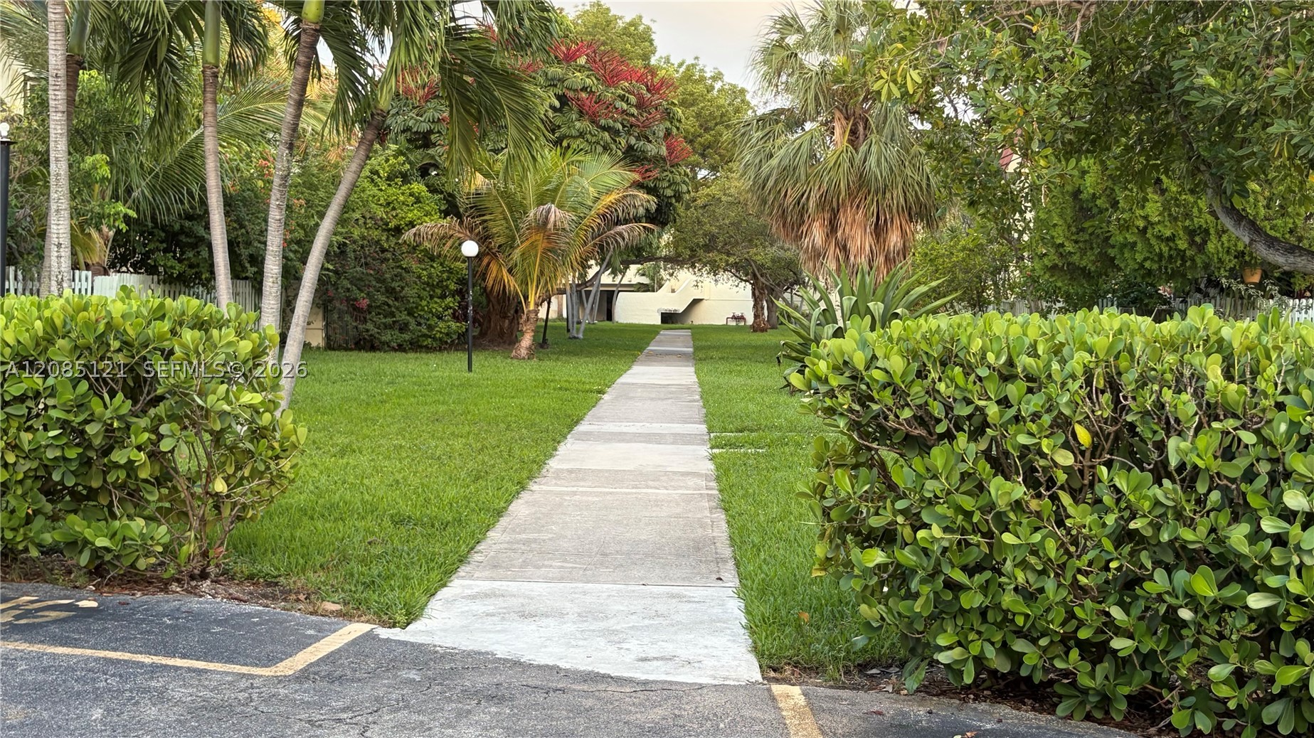 Miami photo 3