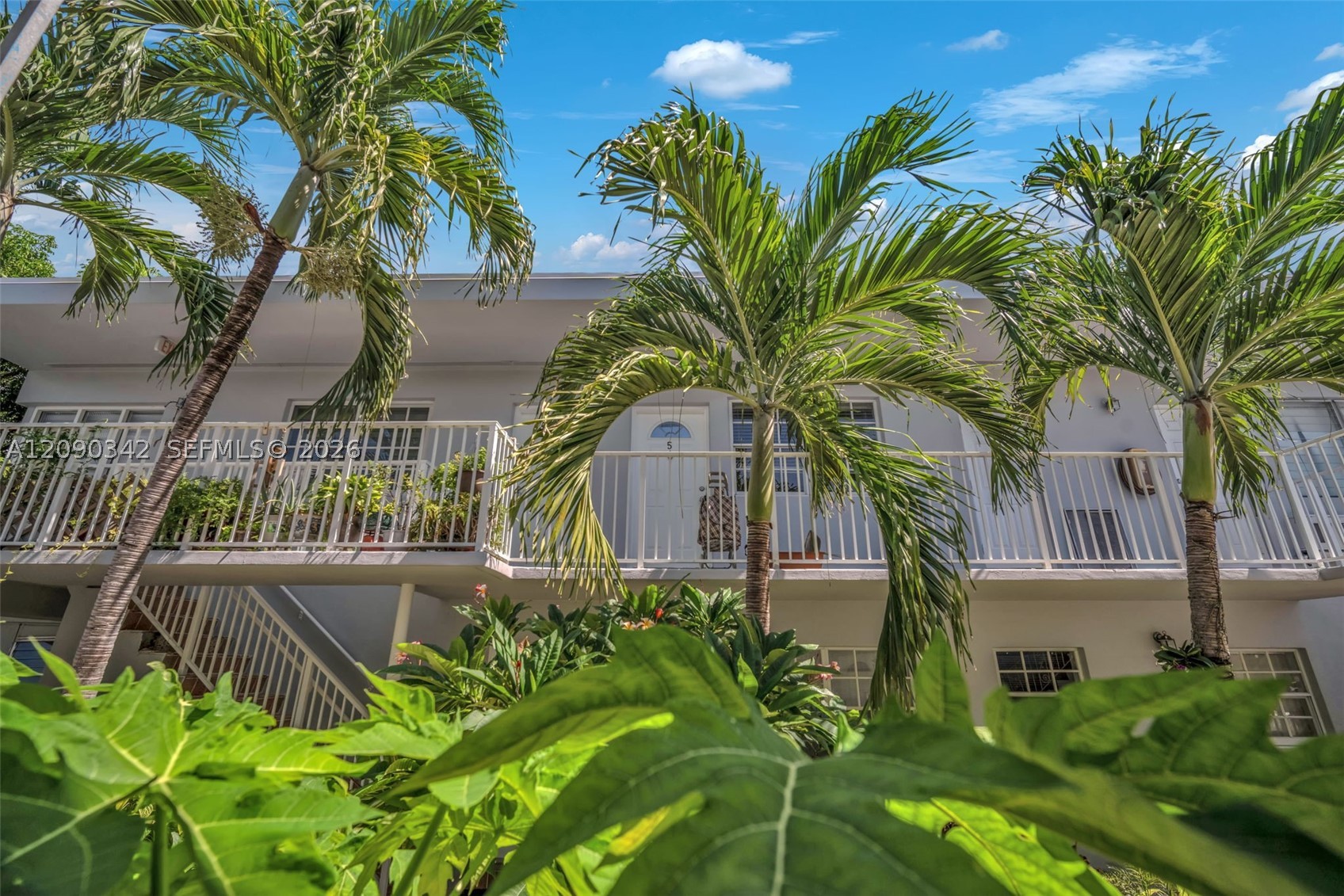 Miami Beach photo 4