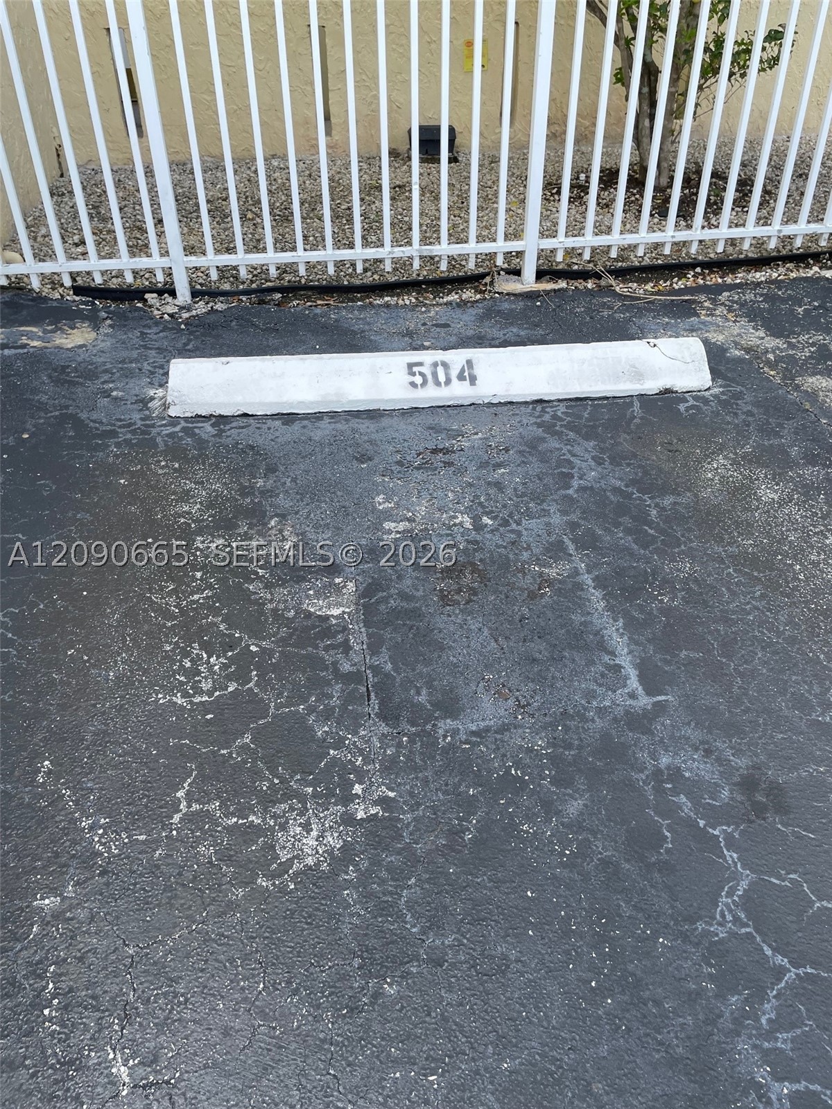 Miami photo 5
