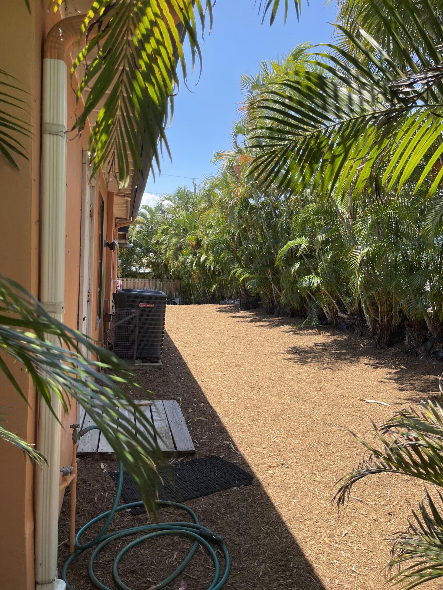 Boca Raton photo 2
