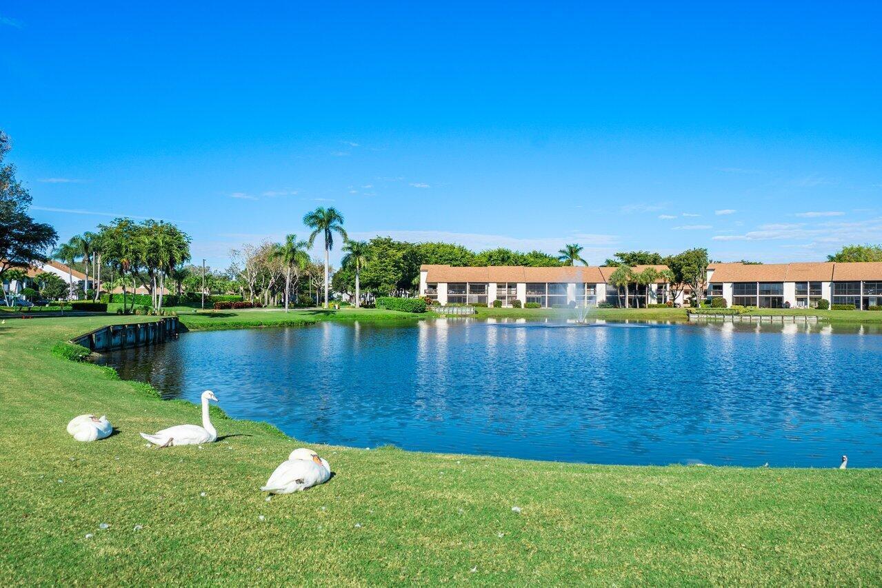 Delray Beach photo 3