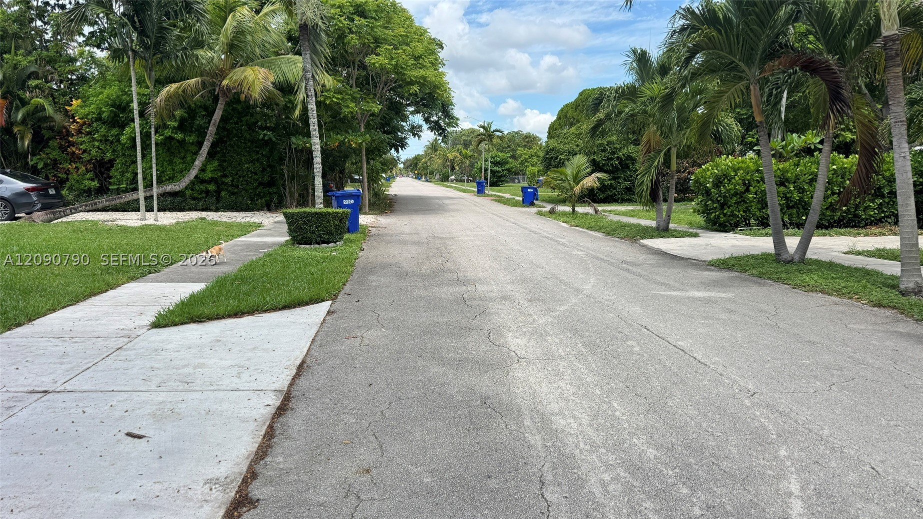 North Miami Beach photo 3