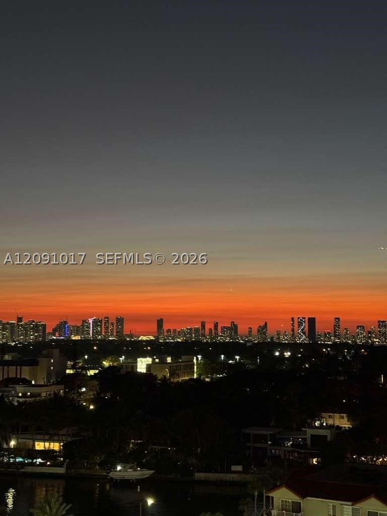 Miami Beach photo 4