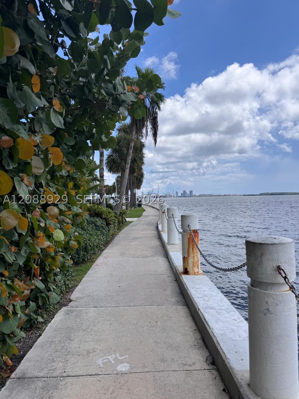 Miami photo 4