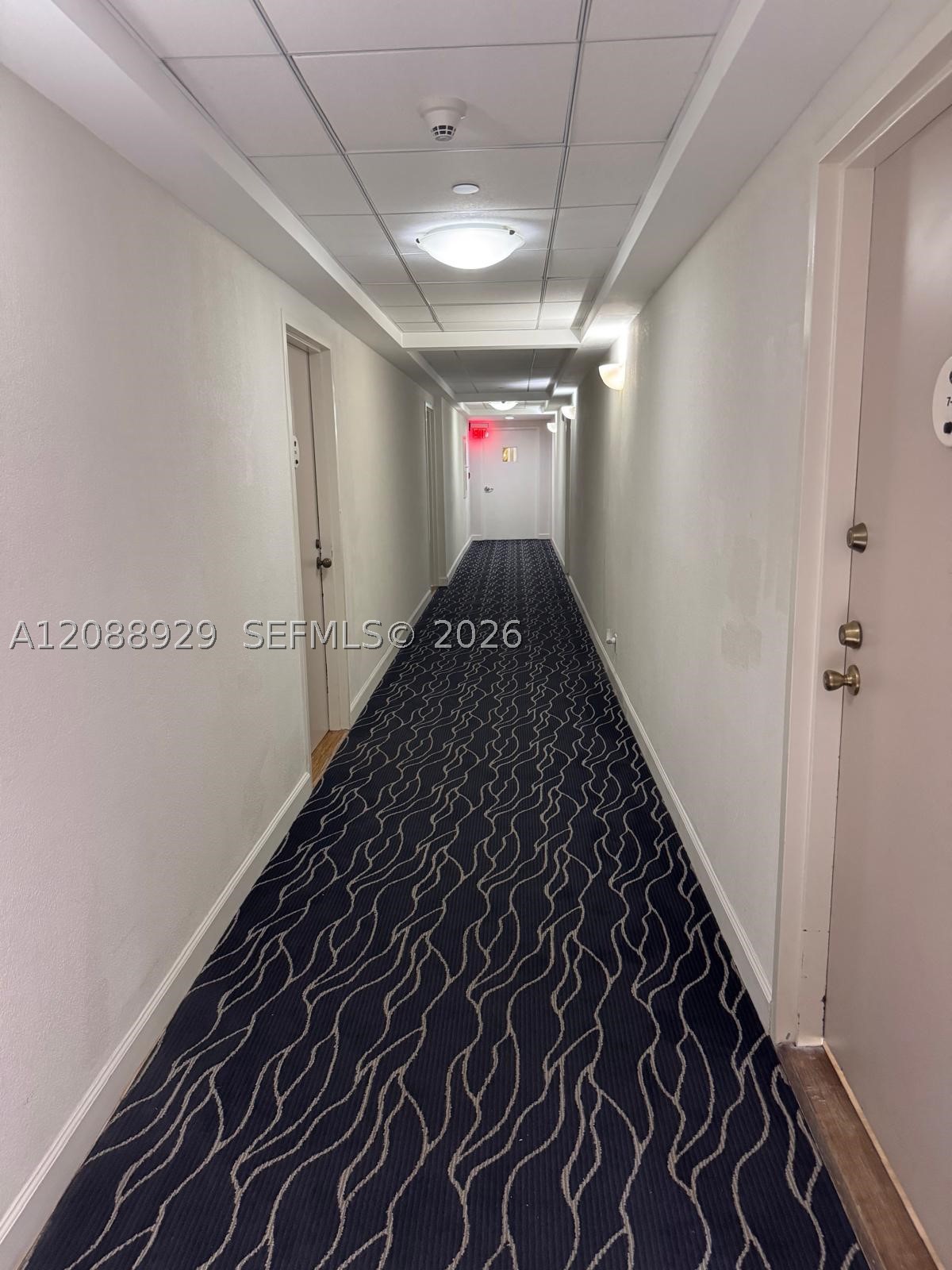 Miami photo 5