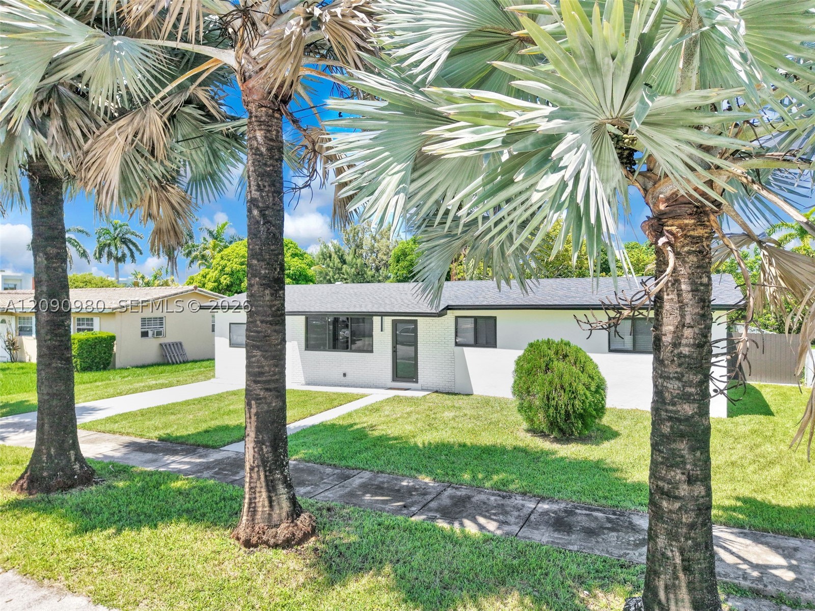 Miami photo 2