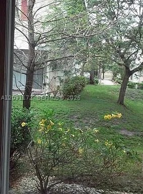 Plantation photo 2
