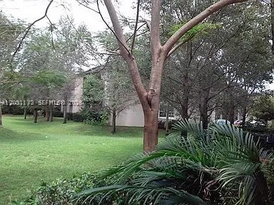 Plantation photo 3