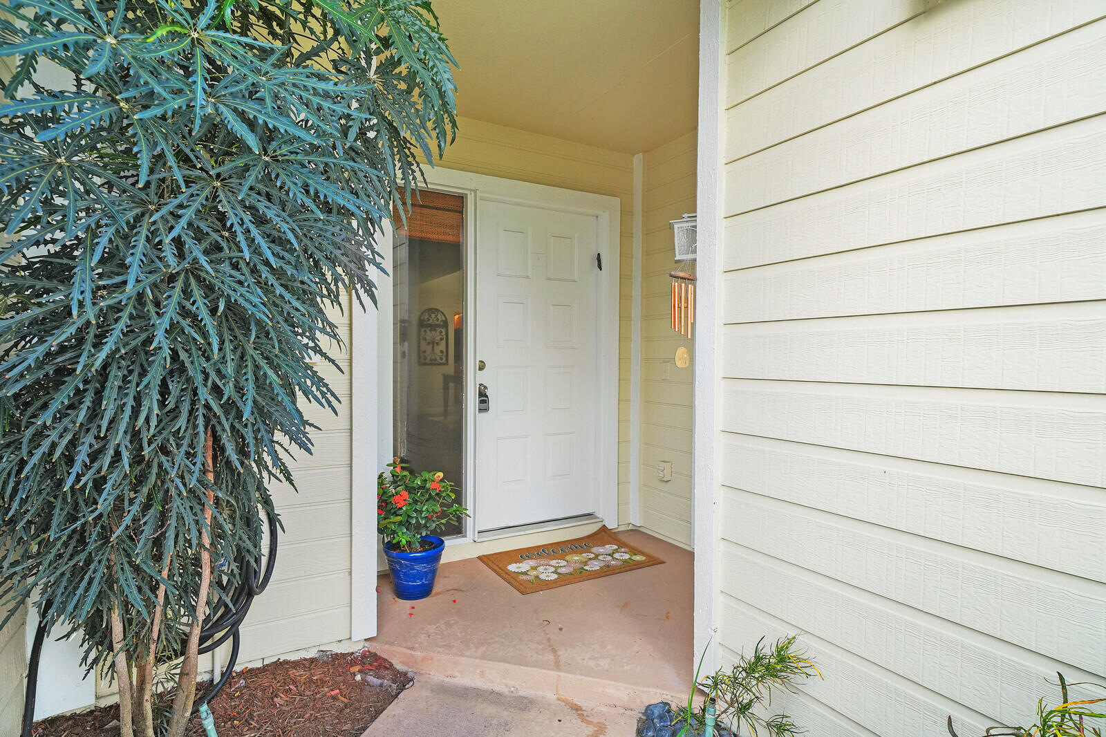 Boca Raton photo 3