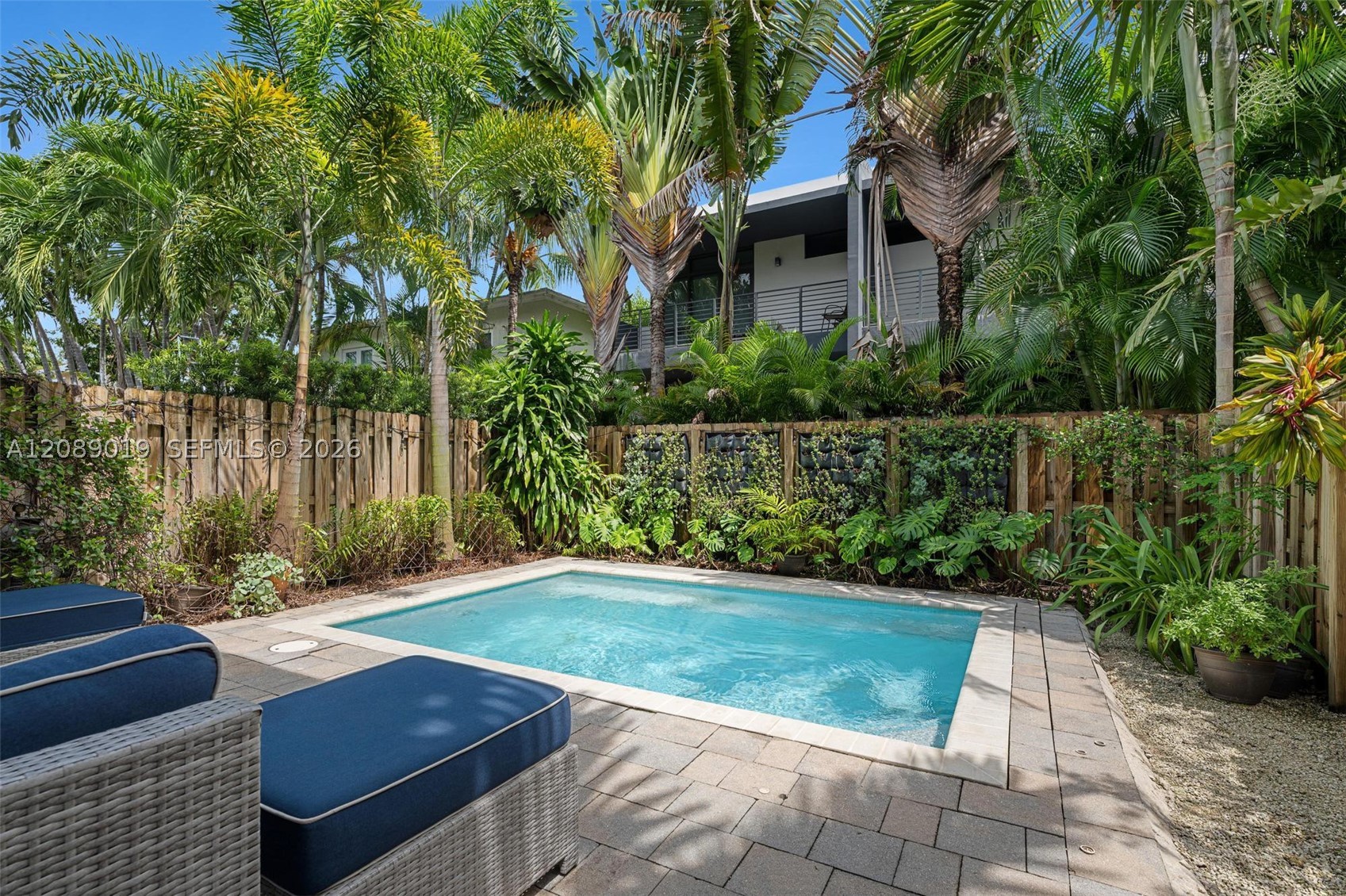 Miami photo 2
