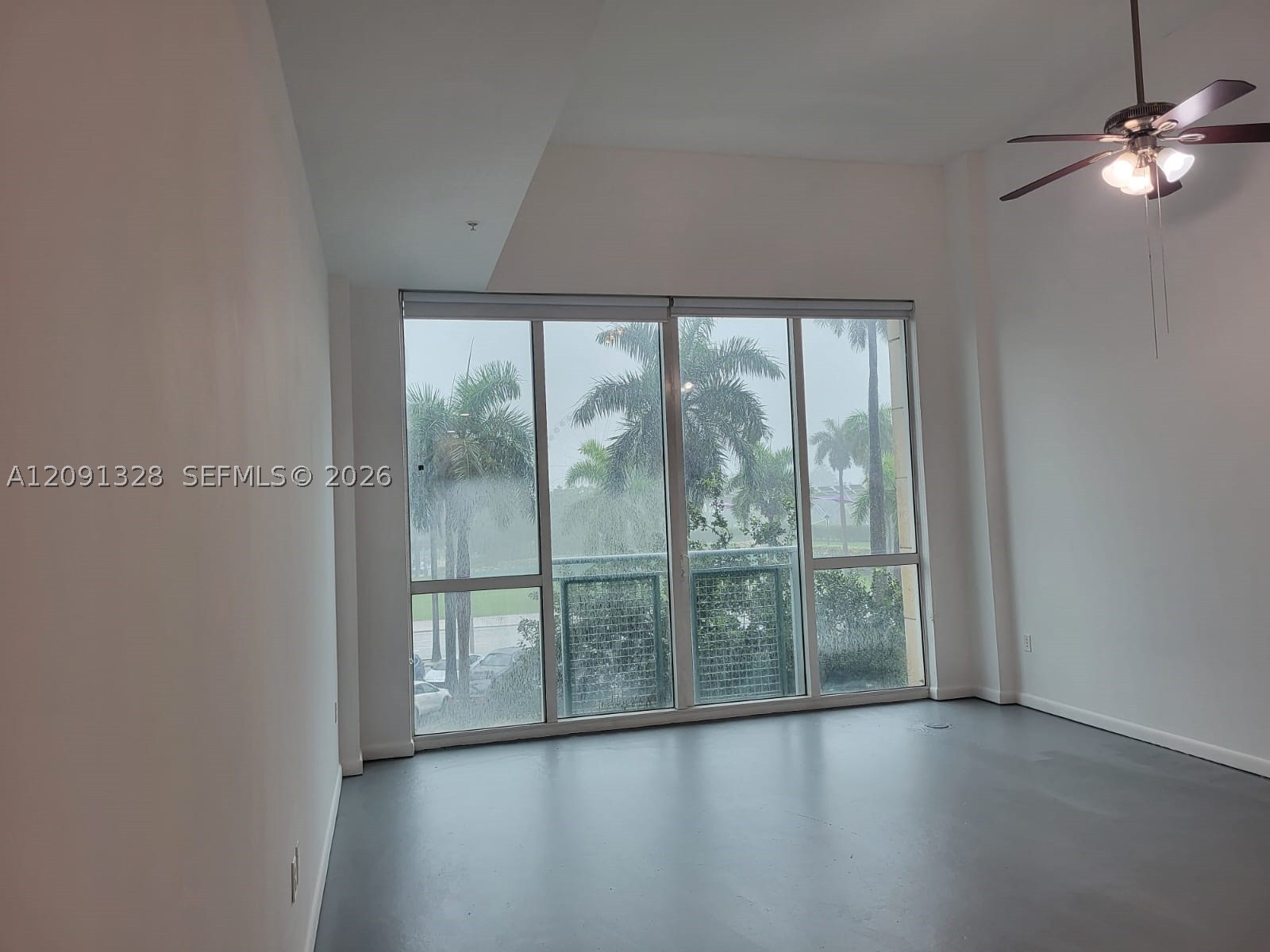 Miami photo 4