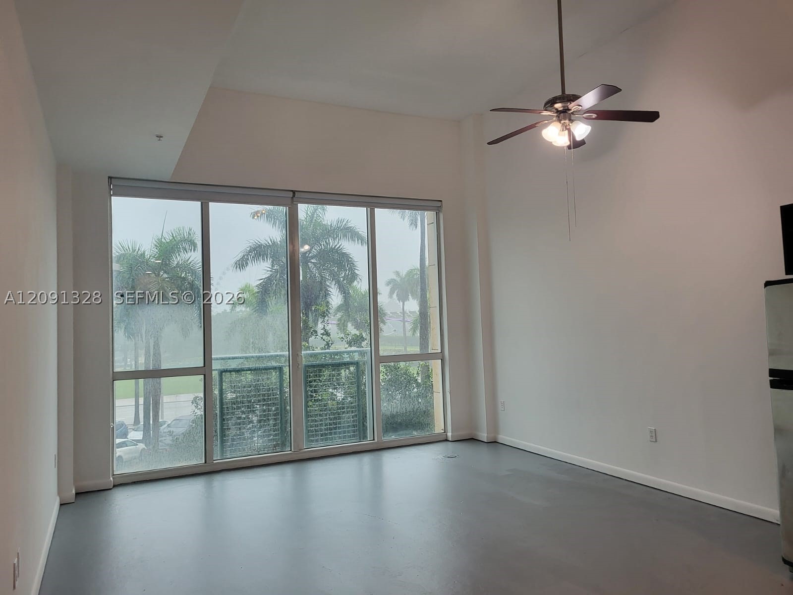 Miami photo 5
