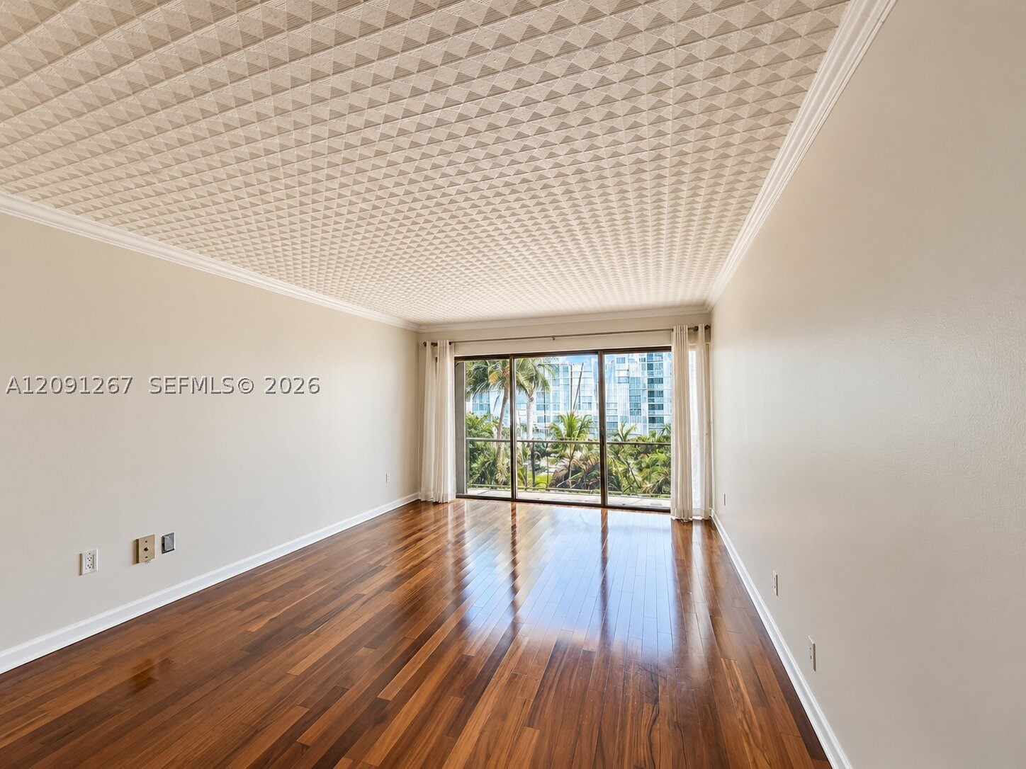 Miami photo 4