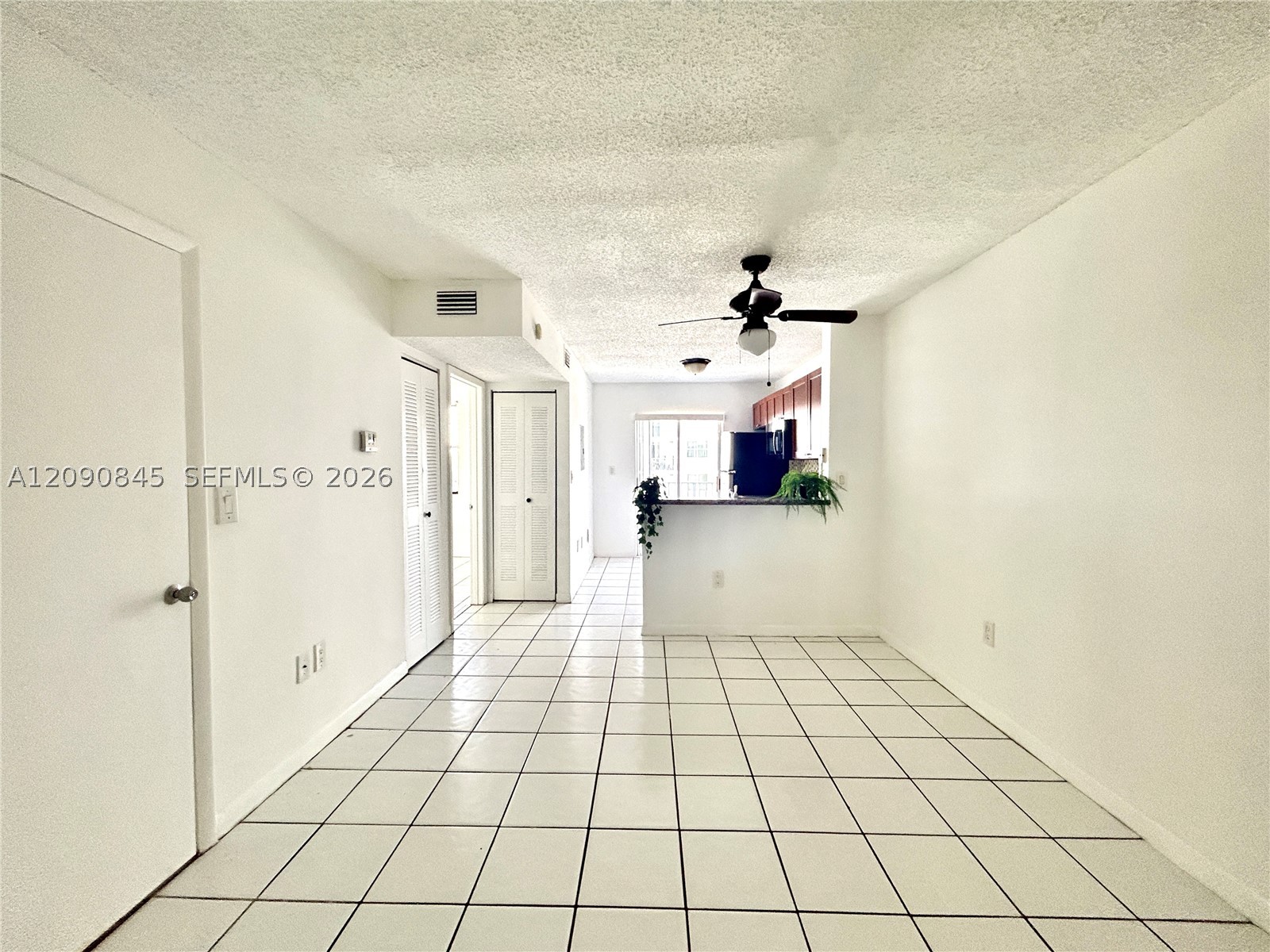Miami photo 2